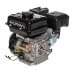 Двигатель Lifan170FD-T D20